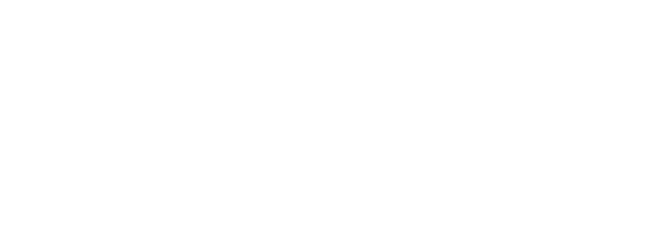 Hotel Mohan place
